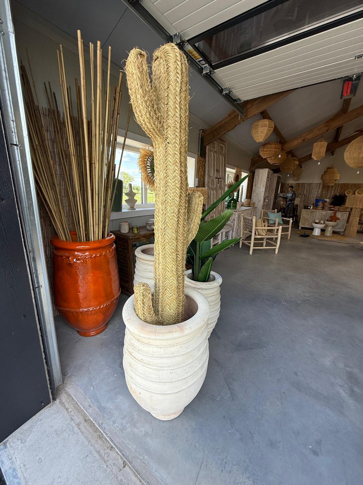 Decoratieve Cactus – Boho Statement Piece