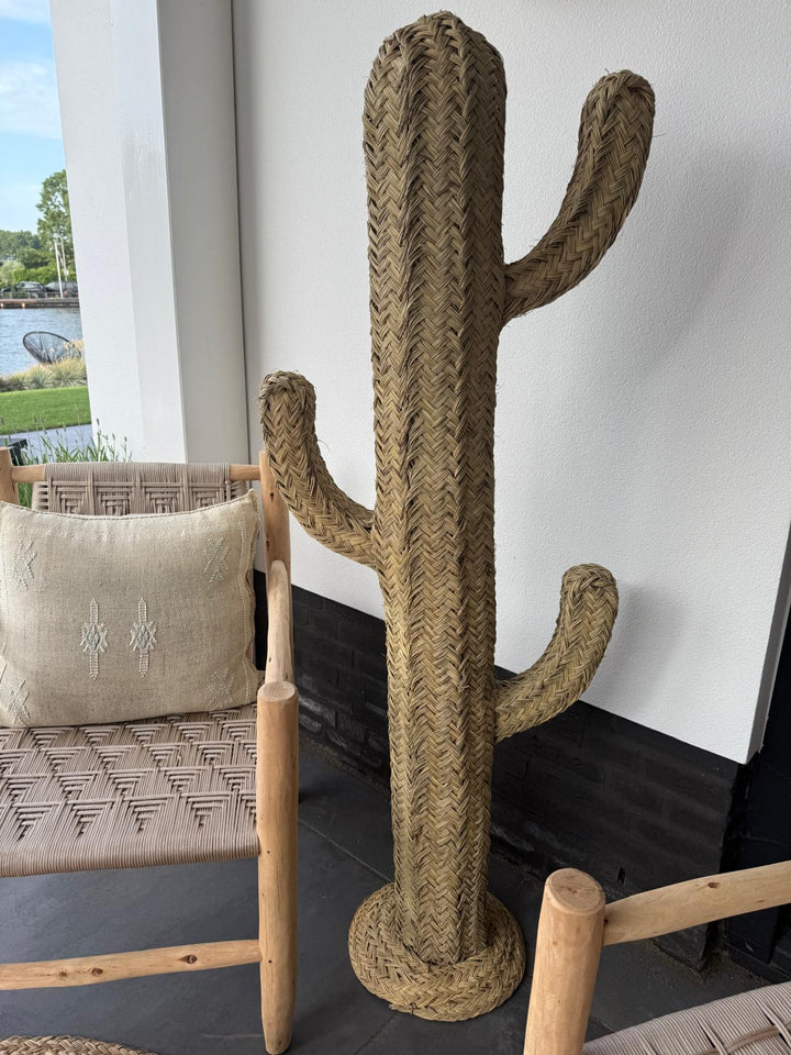 Decoratieve Cactus – Boho Statement Piece